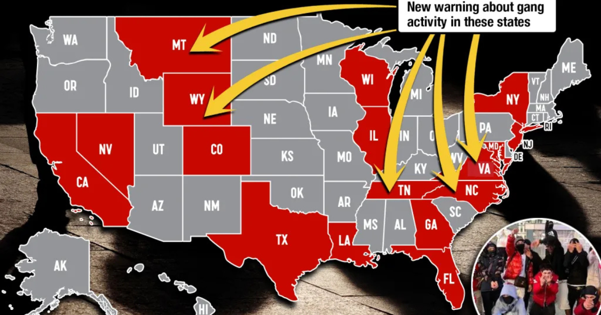 Tren de Aragua has already set up shop in these 16 states, Homeland Security warns Fairfax